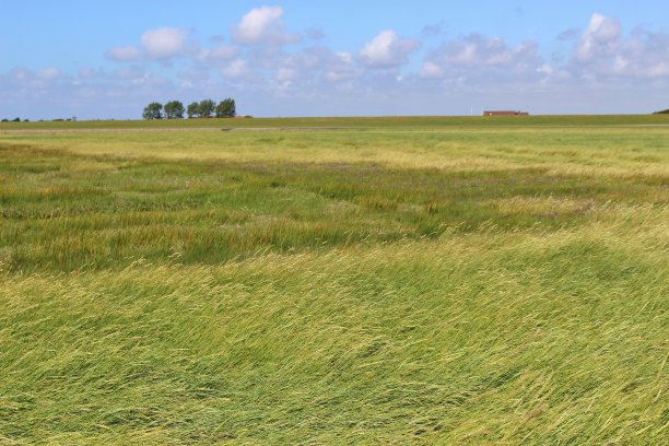 德国瓦滕米尔石勒苏益格-荷尔斯泰因国家公园广阔开放的景观。图片下载