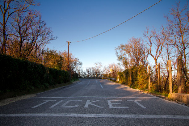 背景的道路上镌刻着日出和晨曦，路旁草木茂盛图片下载