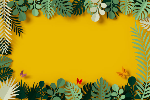 花纸风格，五彩玫瑰，纸工艺花，蝴蝶纸飞，3d渲染，带有裁剪路径。图片下载