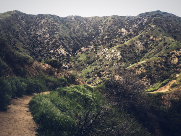 在加州伯班克附近的Verdugo山徒步旅行图片下载