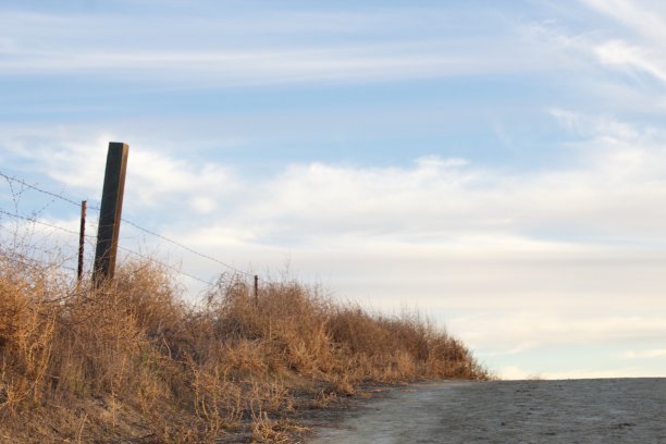 选择你的路图片下载