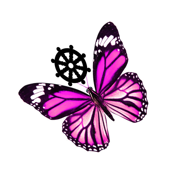 热带紫蝴蝶。在白色背景上隔离图片下载