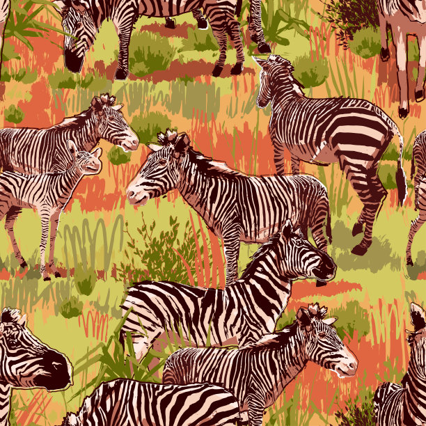 这群斑马在草原上播种图片下载