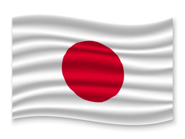 3 d挥舞着国旗图片下载