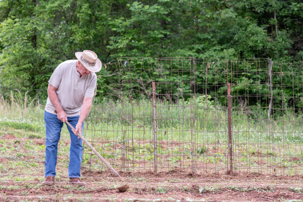 高级人园艺图片下载