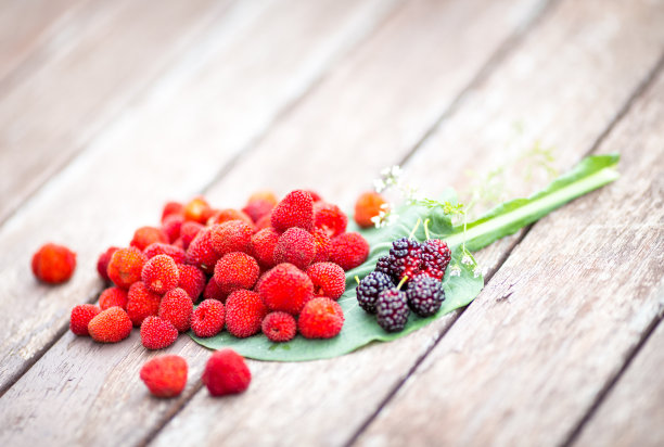 新鲜的覆盆子和桑葚图片下载