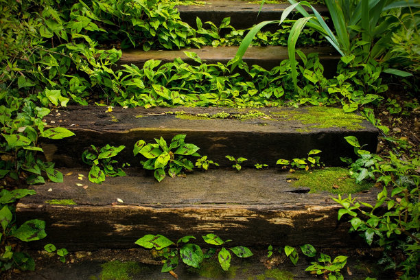 木制台阶上的彩虹图片下载