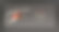 热带黑色和金色的叶子在黑暗的背景图片下载