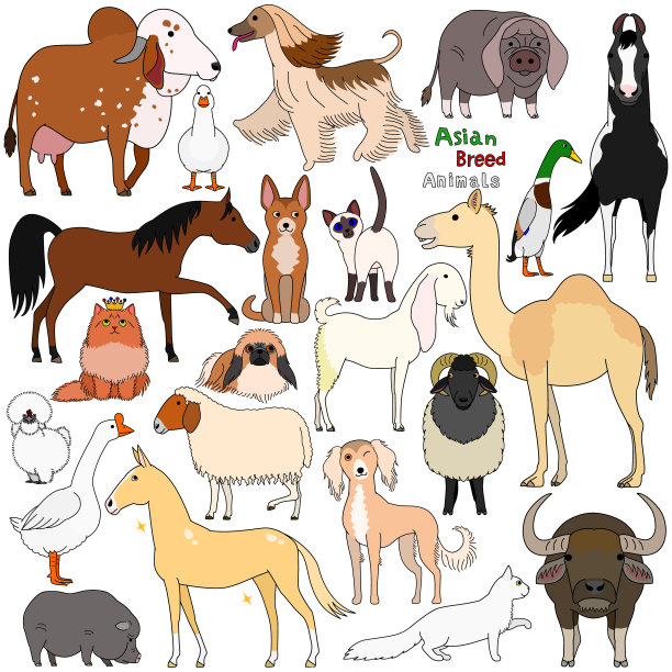 亚洲品种家畜的涂鸦图片下载