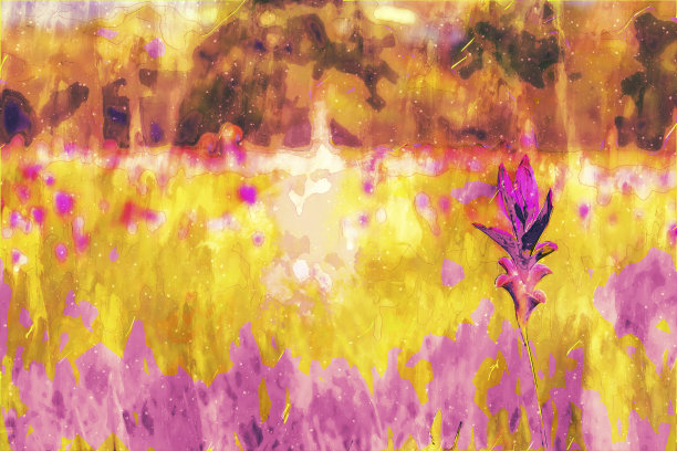 数字绘画的野花刷，插图的野花为背景图片下载