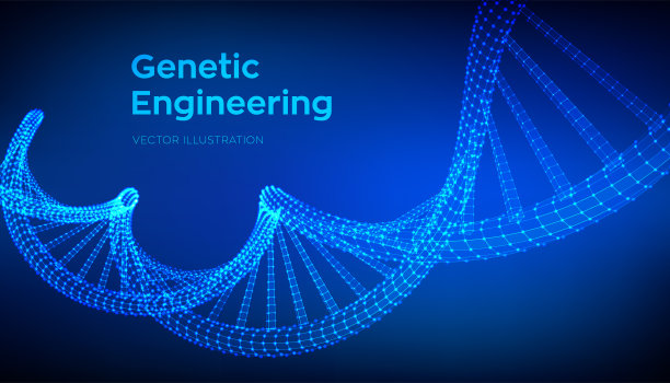 DNA序列。线框DNA分子结构网。DNA代码可编辑模板。科学技术概念。矢量插图。图片下载
