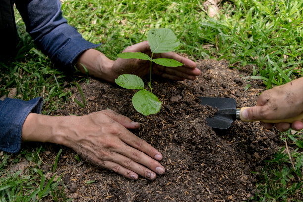 这个年轻人正在植树，以增加氧气的数量，以保持空气新鲜和自然。图片下载