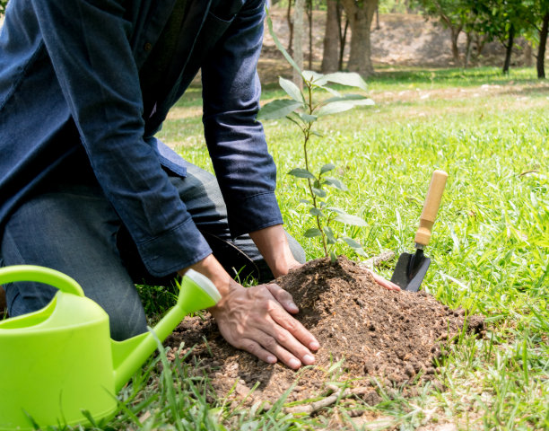 这个年轻人正在植树，以增加氧气的数量，以保持空气新鲜和自然。图片下载
