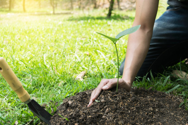 这个年轻人正在植树，以增加氧气的数量，以保持空气新鲜和自然。图片下载