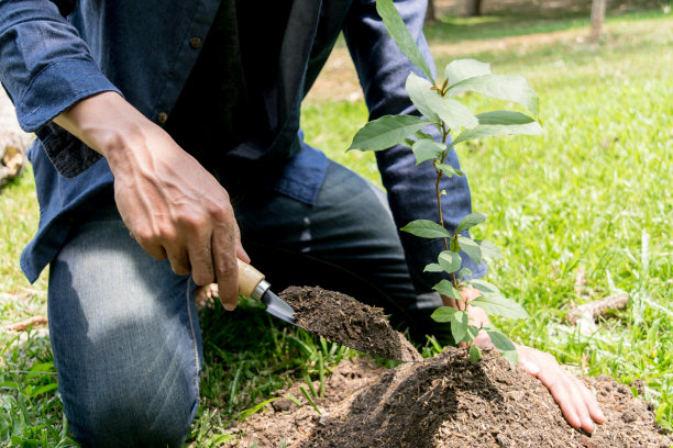这个年轻人正在植树，以增加氧气的数量，以保持空气新鲜和自然。图片下载