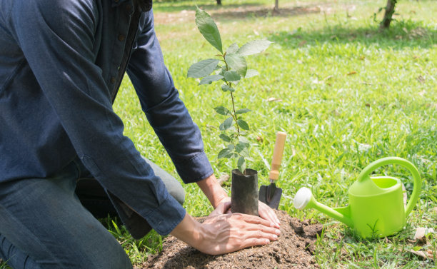 这个年轻人正在植树，以增加氧气的数量，以保持空气新鲜和自然。图片下载