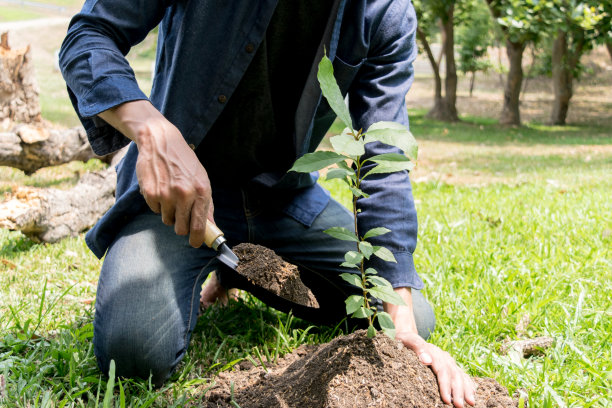 这个年轻人正在植树，以增加氧气的数量，以保持空气新鲜和自然。图片下载