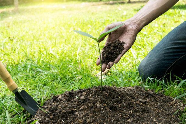 这个年轻人正在植树，以增加氧气的数量，以保持空气新鲜和自然。图片下载