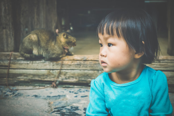 一个中国女孩和一只猫图片下载