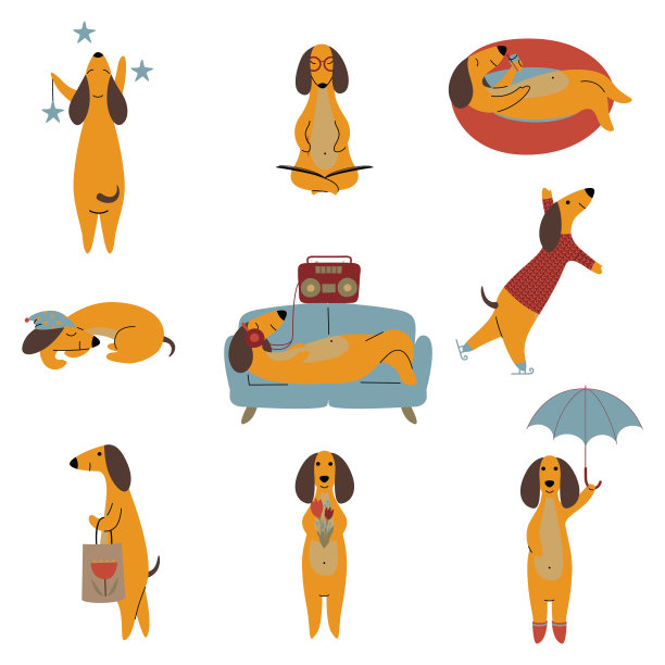 收集纯种棕色腊肠狗，友好有趣好玩的宠物动物卡通人物在不同的情况矢量插图图片下载