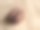 烤咖啡豆特写图片下载