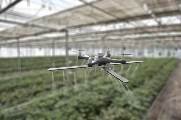 在温室里用无人机喷洒作物图片下载