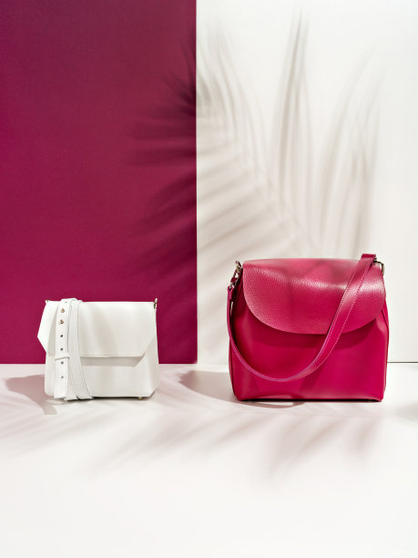 两个时尚袋。图片下载