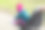 小女孩坐在街上的婴儿车里图片下载