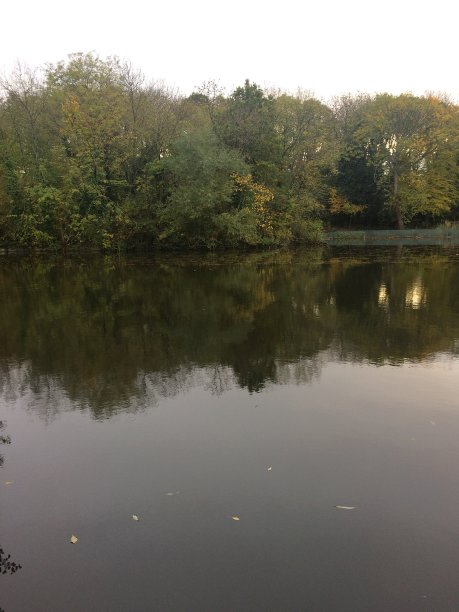 湖反射图片下载