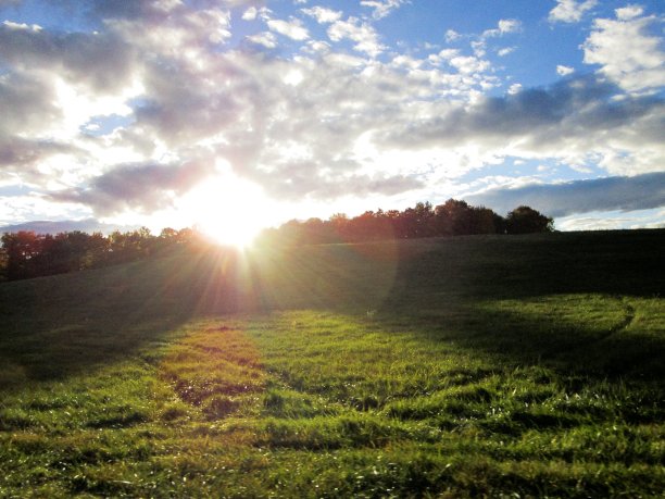 秋天草地上的日落图片下载