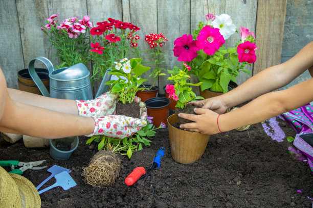 一个小女孩正在种花。年轻的园丁。有选择性的重点。图片下载
