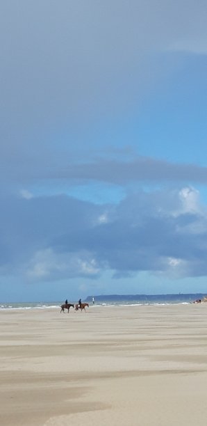 多维尔海滩上图片下载