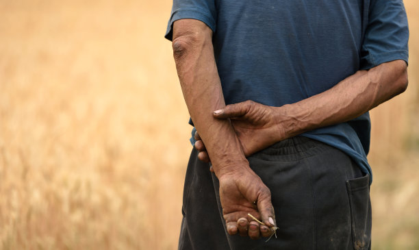 土地和粮食安全图片下载