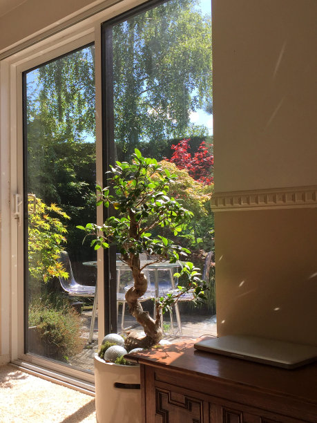 现代家居室内设计形象阳光休息室双门/滑动天井门在客厅花园景观装饰木材天井，室外现代天井家具玻璃桌子/透明塑料椅子，盆景无花果树，笔记本电脑，橡木箱和树图片下载