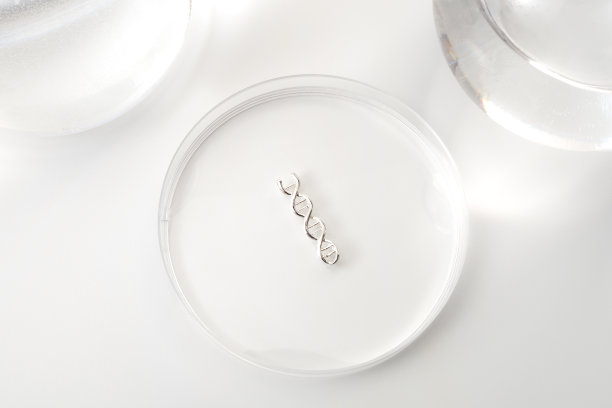 DNA测试，实验室实验和基因研究概念主题与双螺旋分子在培养皿中孤立的白色背景图片下载