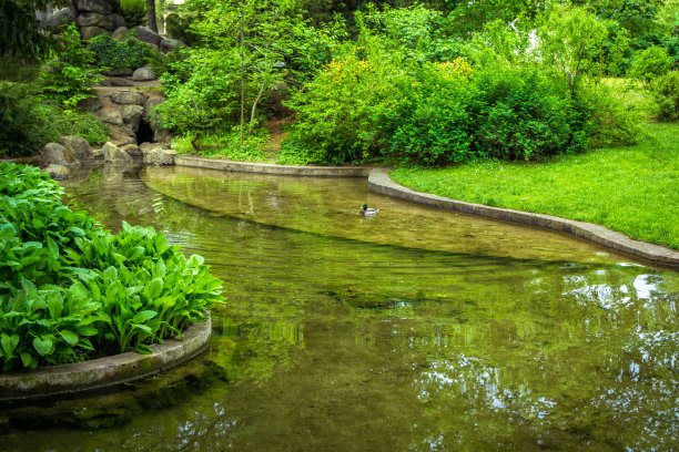 美丽的花园和鸭子在一个池塘图片下载
