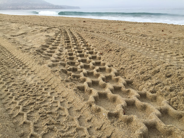 砂痕迹图片下载