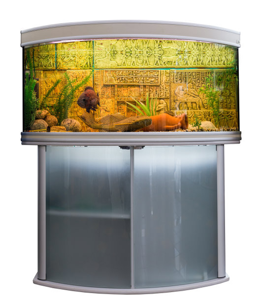 美丽的水族馆装饰在埃及风格的一个支架上图片下载