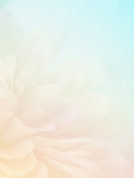 模糊的花在桑树纸上，复制空间作为背景。图片下载