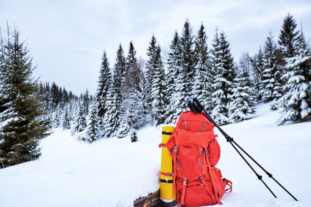 一个红色的背包上的雪在一个冬季的背景下的山脉和森林。图片下载