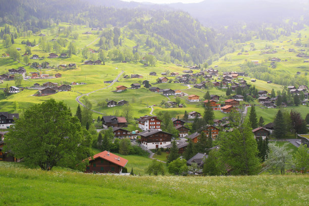 童话风景:上面的田园诗格林德沃阿尔卑斯村庄城市景观山谷和草地，戏剧性的瑞士阿尔卑斯山，田园诗般的乡村，伯恩斯高地，瑞士阿尔卑斯山，瑞士图片下载