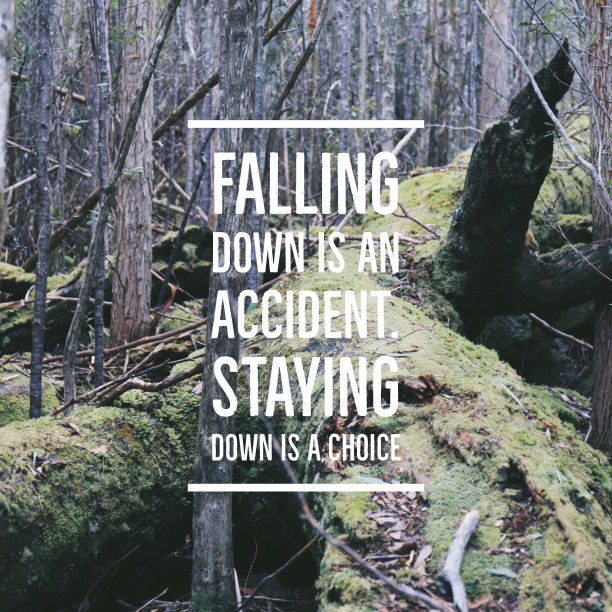 励志名言“摔倒是一场意外”。在森林背景和老式滤镜下蹲下是一种选择图片下载