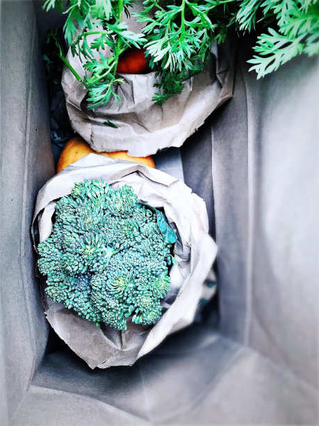 新鲜的有机蔬菜图片下载