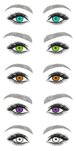 风格化装饰化妆集。手画眼睛，浓密的睫毛和完美的眉毛。黑白孤立矢量插图图片下载