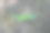 年轻的玉米植株。图片下载