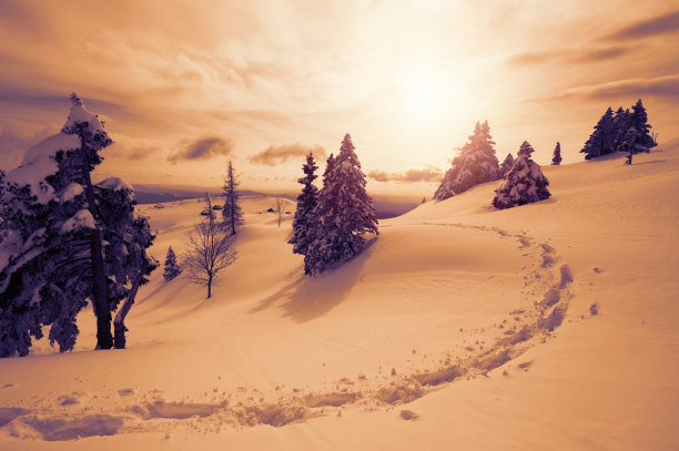 冬天的风景图片下载