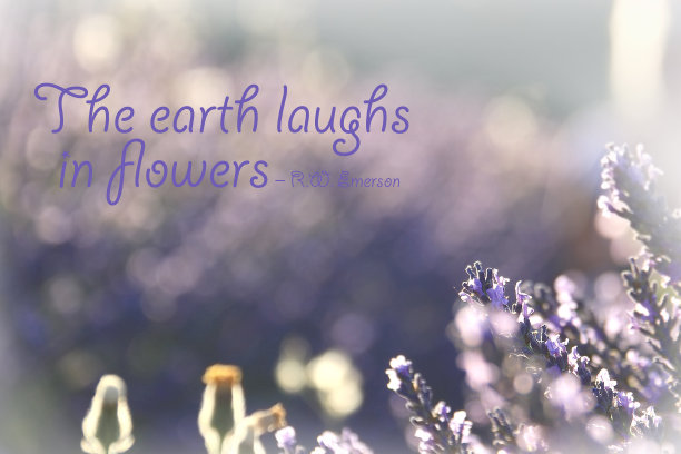 大地在花中欢笑图片下载