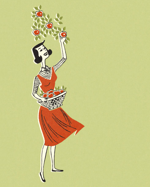 女人摘苹果图片下载