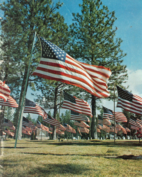 美国国旗在阵亡将士纪念日图片下载