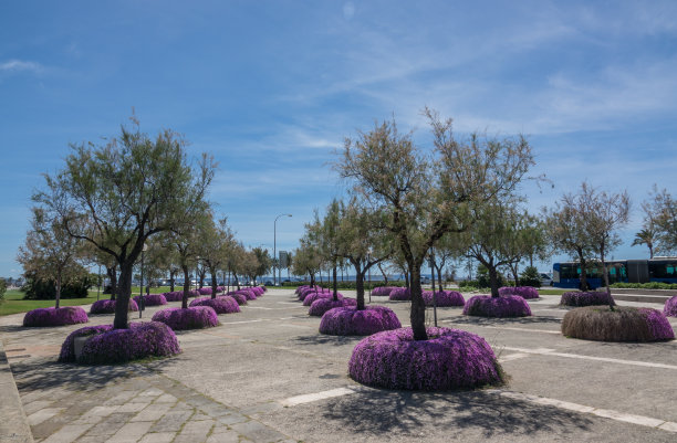 西班牙巴利阿里群岛附近的马略卡岛图片下载